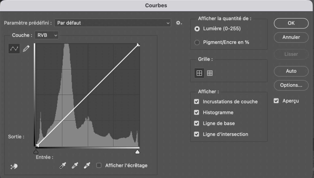 Histogramme en photographie affiché dans l’outil Courbes, montrant la répartition des zones claires et sombres pour ajuster le contraste et préserver les détails de l’image.